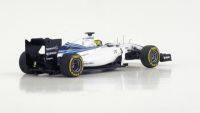 Williams Mercedes FW36 #19 F.Massa 